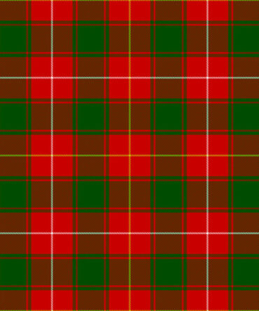 red & green MacFie Tartan kilt