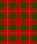 red & green MacKinnon Tartan kilt