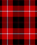 Cunningham Tartan Kilt - Tartan Products